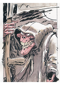 Clique pour agrandir