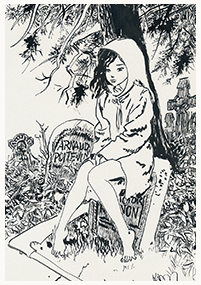 Clique pour agrandir