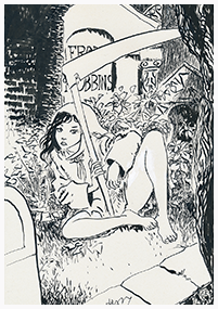 Clique pour agrandir