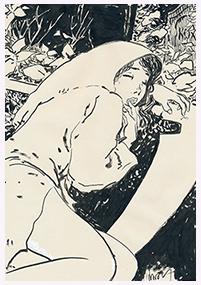 Clique pour agrandir