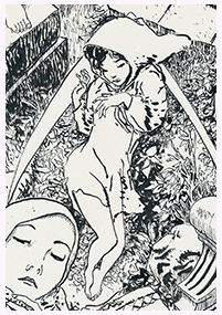 Clique pour agrandir