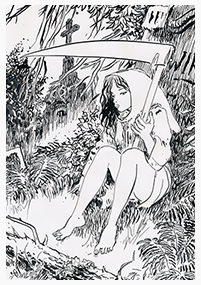 Clique pour agrandir