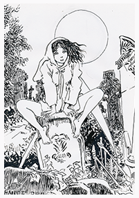 Clique pour agrandir